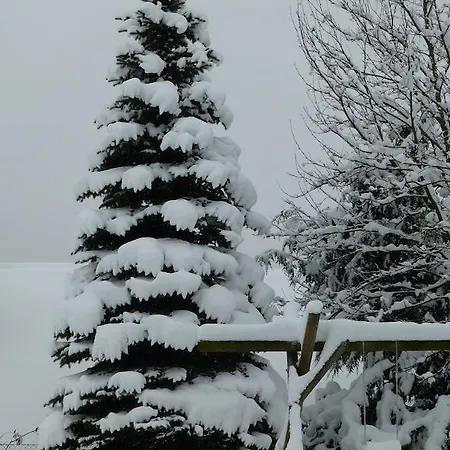 Paßler Seeboden am Millstätter See